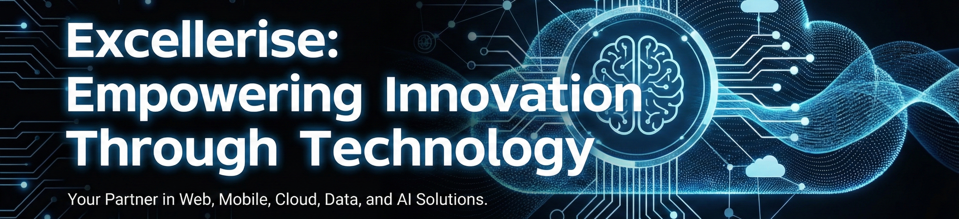 Excellerise AI Solutions